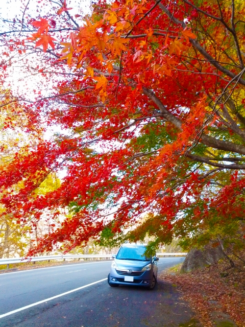 【関西編】秋のドライブに最適♪車で行けるオススメ紅葉狩りスポット7選！